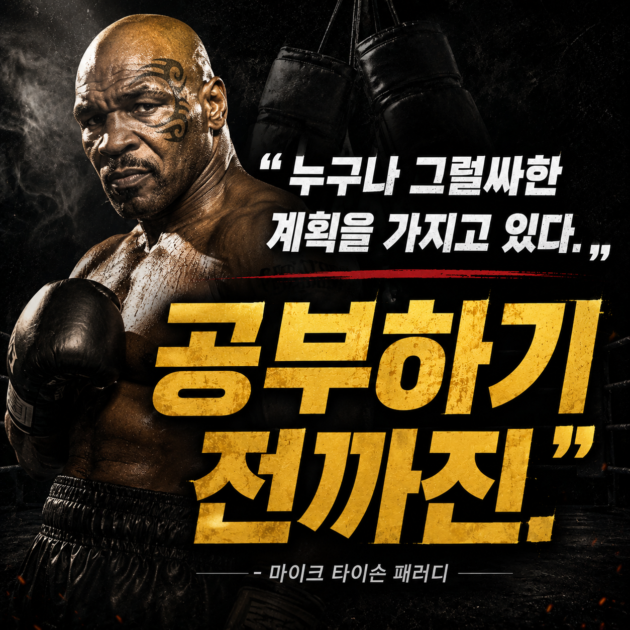 누구나 그럴싸한 계획을 가지고 있다 공부하기 전까진 타이슨 패러디 이미지